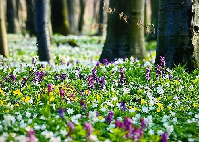 Waldidyll Casa de Férias